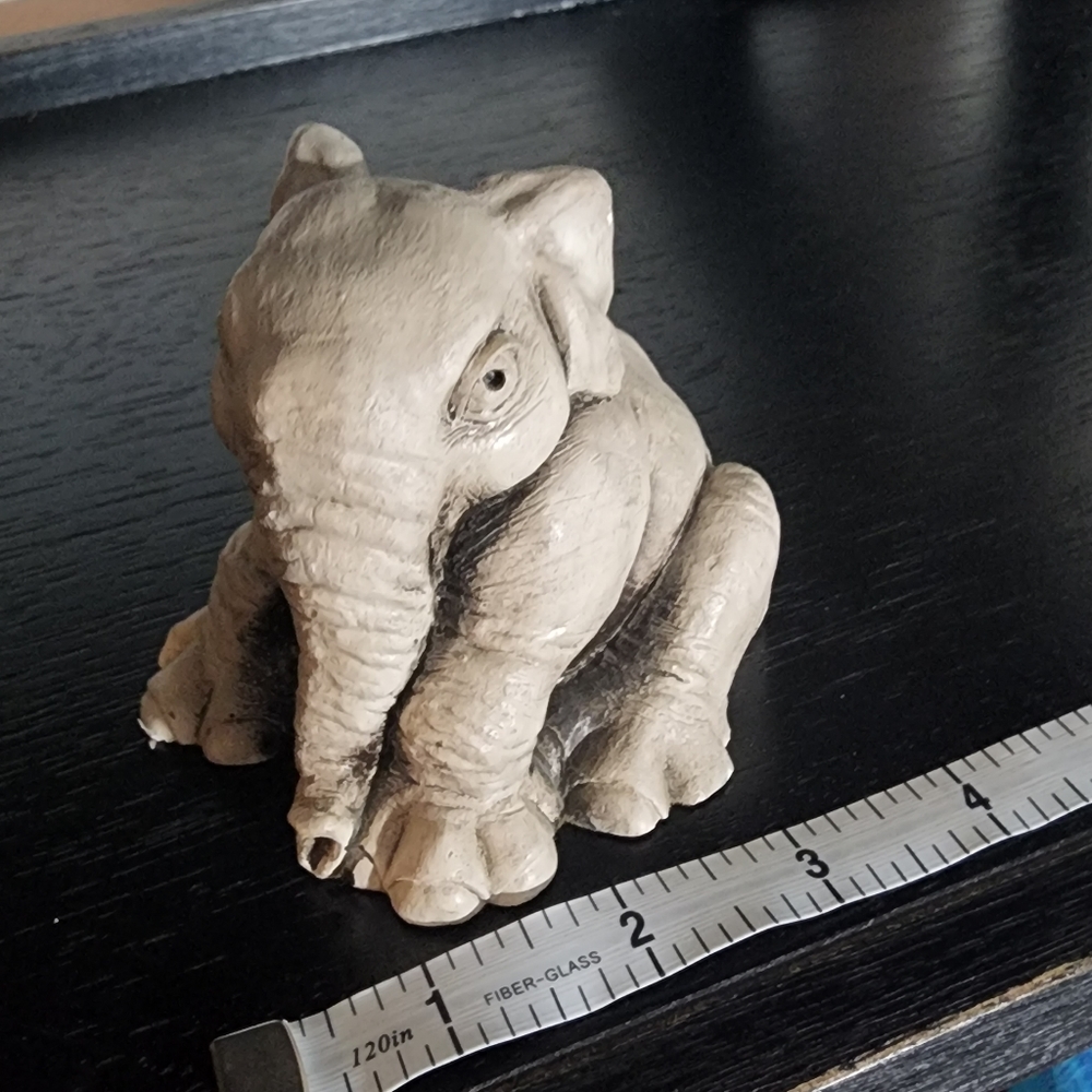 ‎Elephant - Picture 8 of 8